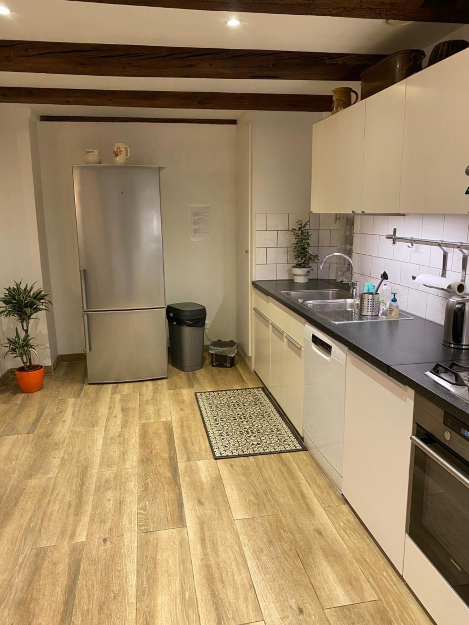 דירות Horbourg Le 128, Duplex Alsacien 10 Personnes, Piscine מראה חיצוני תמונה
